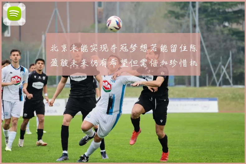 北京未能实现夺冠梦想若能留住陈盈骏未来仍有希望但需倍加珍惜机会